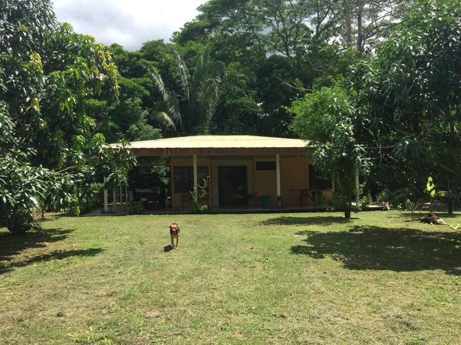 Casa A 26 Kilometros De Jaco Rodeado De Naturaleza Villa Exterior photo