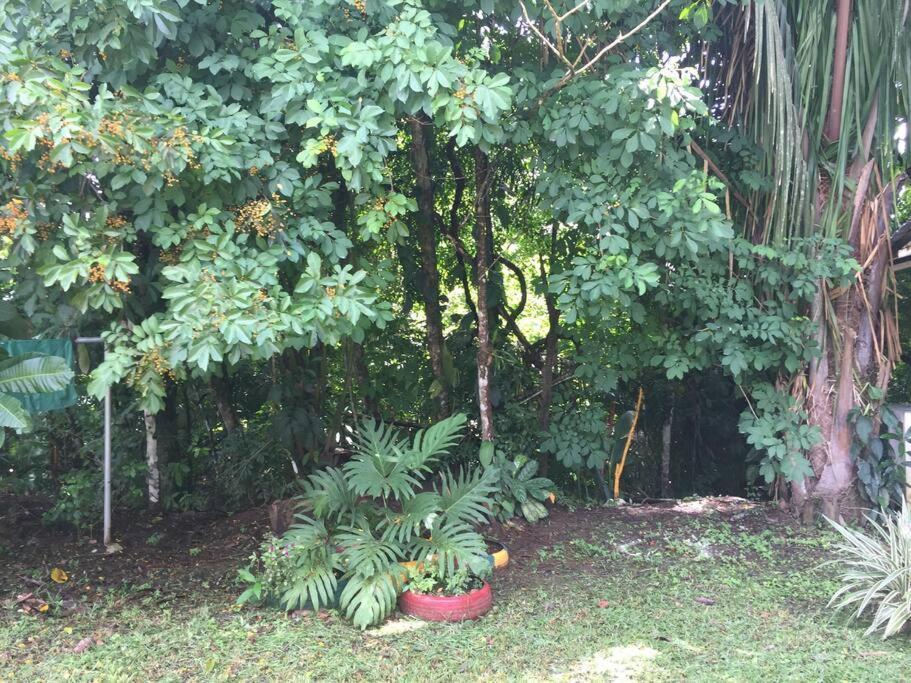 Casa A 26 Kilometros De Jaco Rodeado De Naturaleza Villa Exterior photo