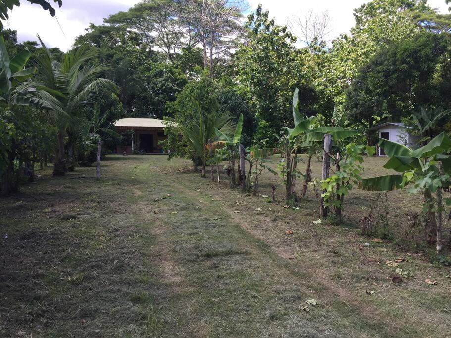 Casa A 26 Kilometros De Jaco Rodeado De Naturaleza Villa Exterior photo